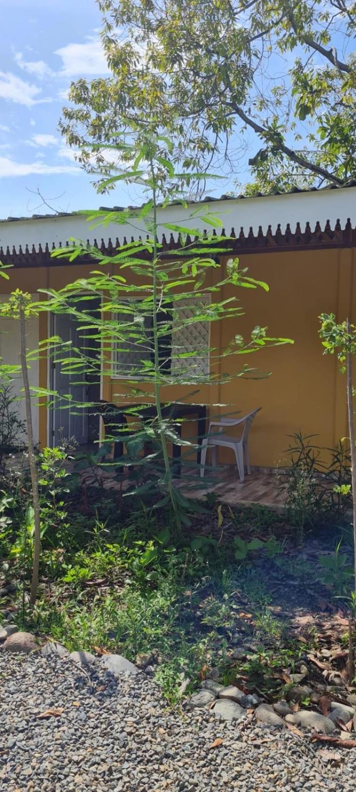 Apartamentos Sol 까위따 객실 사진